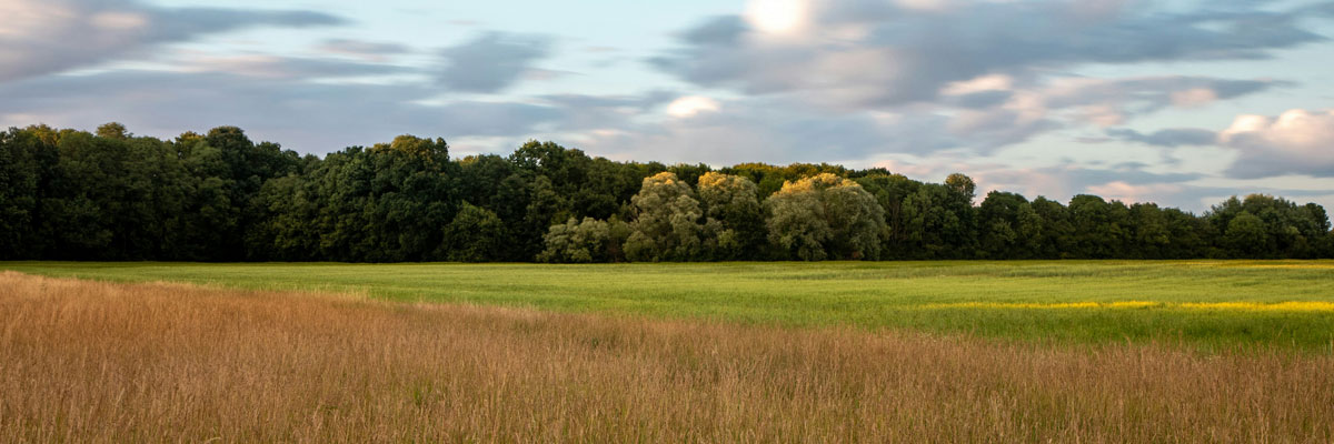 A farm field on the horizon